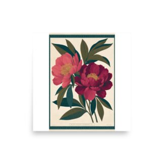 Vintage Peony Botanical Print, Antique Floral Wall Art, Pink Flower Illustration, Botanical Poster, Cottage Core Decor, Maximalist Art