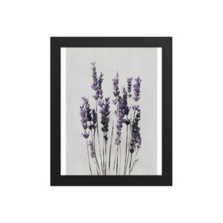 Lavender Framed Wall Art, Purple Floral Botanical Print, Minimalist Bedroom Decor