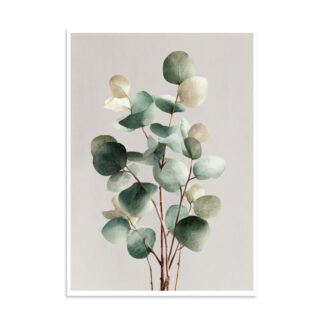Eucalyptus Wall Art Print, Sage Green Botanical Leaf Illustration, Minimalist Boho Decor