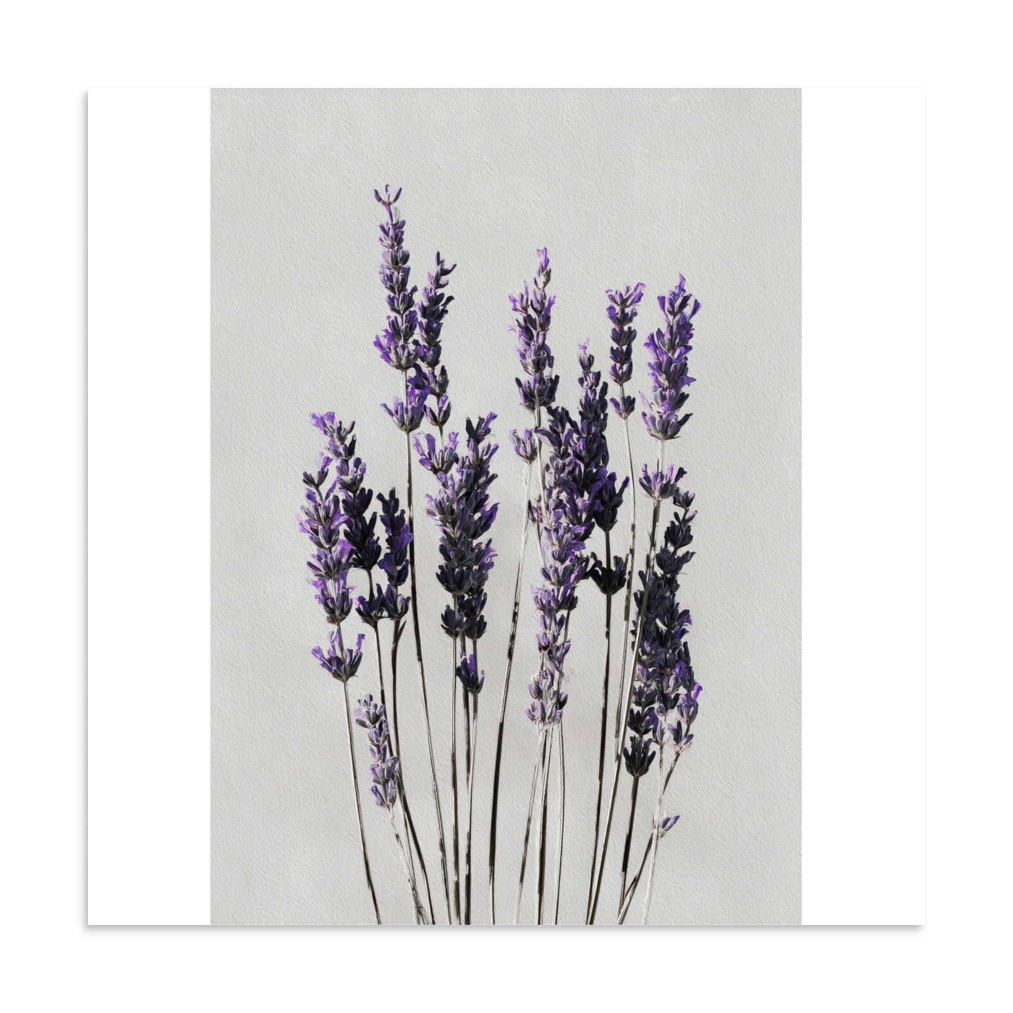 Lavender Wall Art Print, Purple Floral Botanical Illustration, Minimalist Bedroom Decor - Image 14