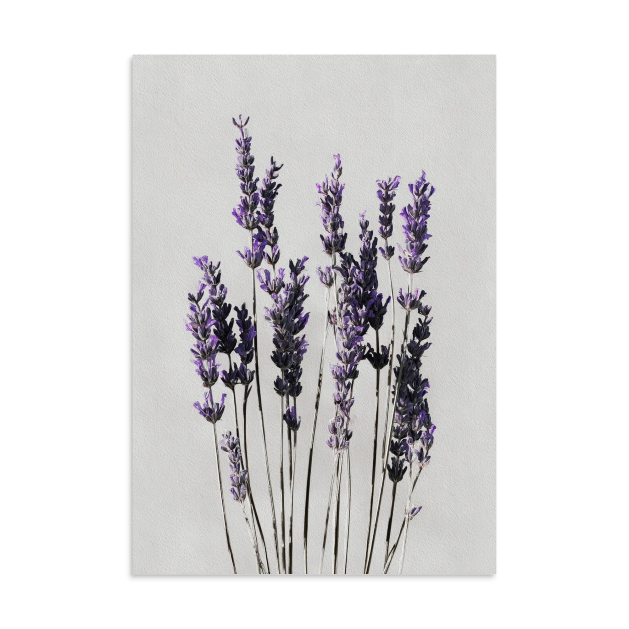 Lavender Wall Art Print, Purple Floral Botanical Illustration, Minimalist Bedroom Decor - Image 22