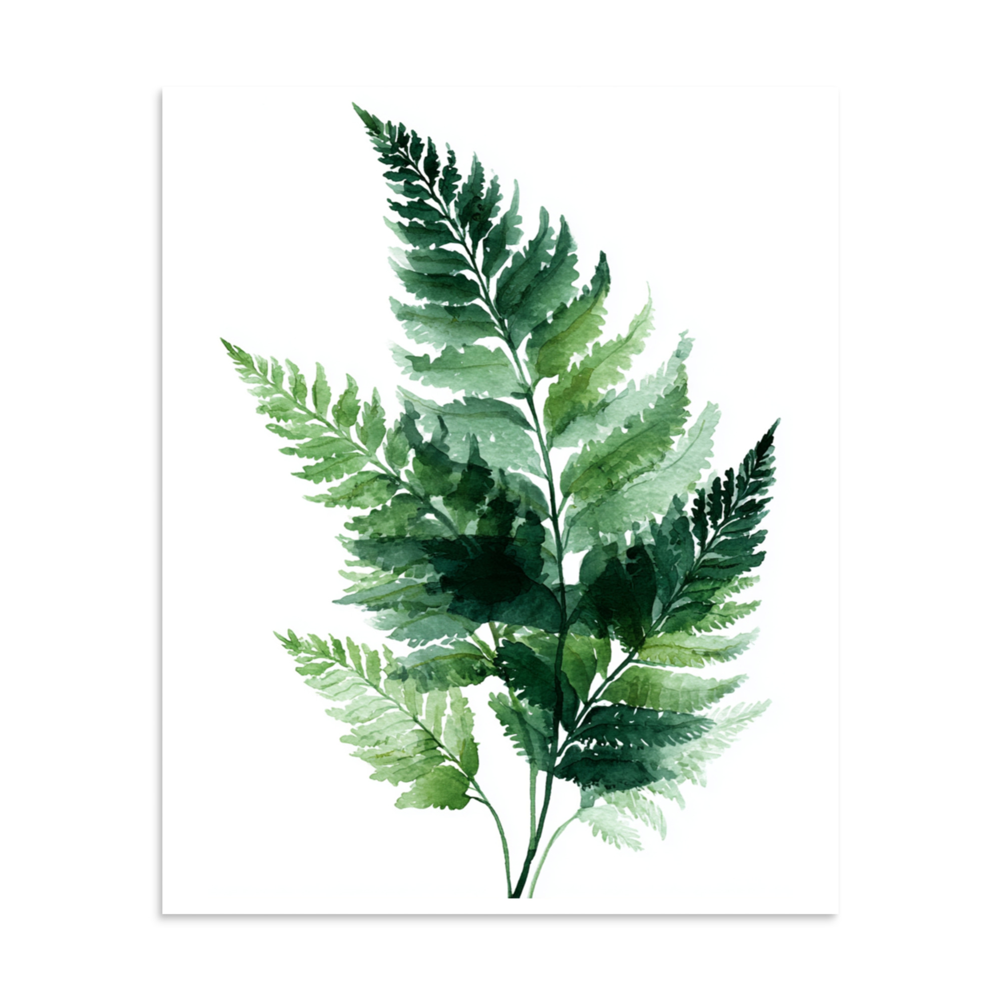 Watercolour Fern Wall Art Print, Green Botanical Leaf Illustration, Minimalist Nature Poster - Image 25